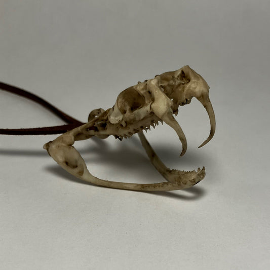 Snake Skull Necklace